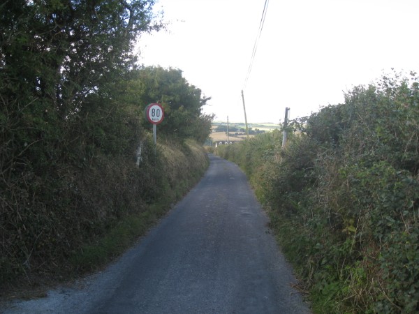 317.jpg