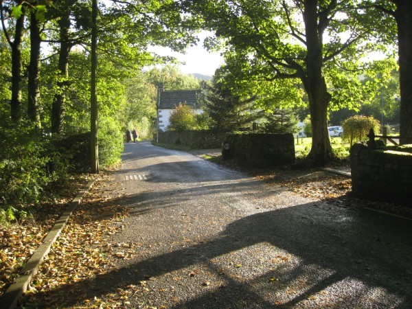 193.jpg