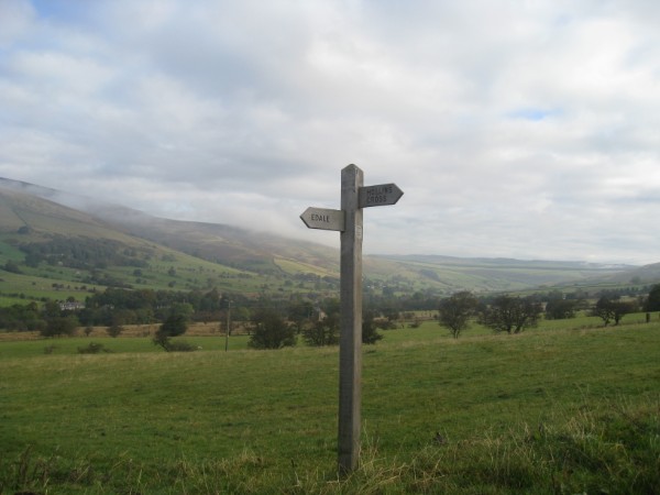 226.jpg