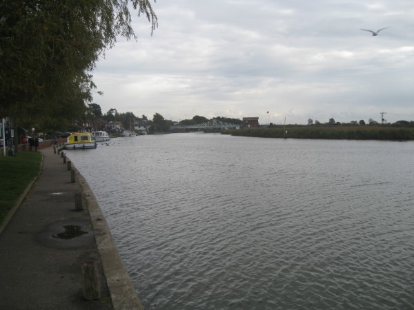 268.jpg
