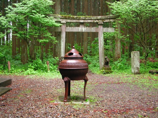 579.jpg