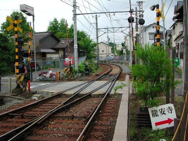 753.jpg