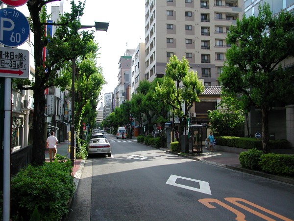 862.jpg