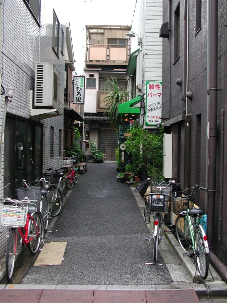 897.jpg