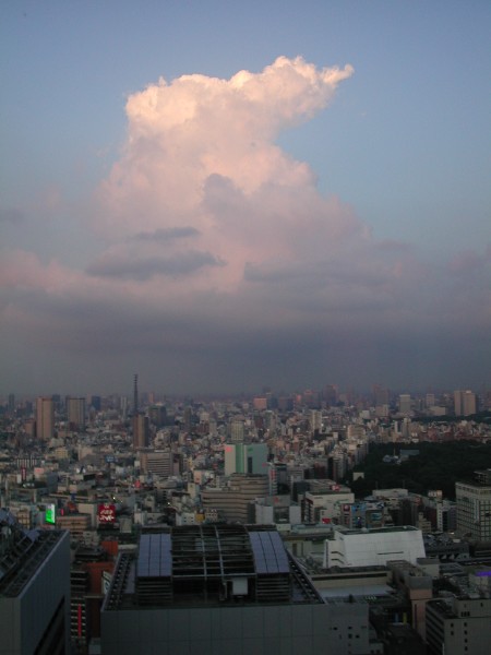 935.jpg