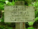 336.jpg