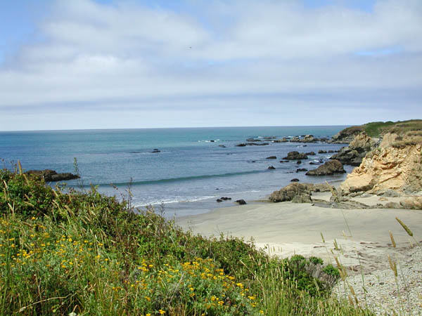 DSCN3206