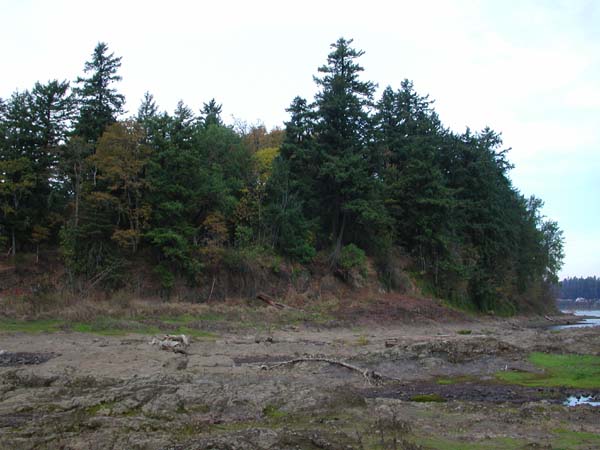 DSCN1096