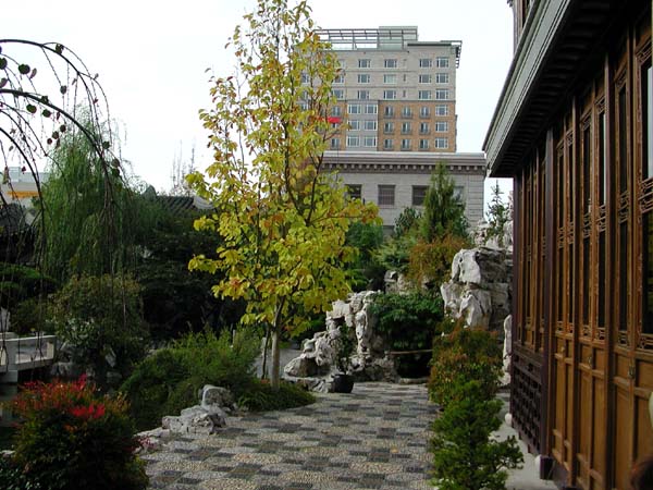 DSCN1124