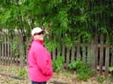 DSCN1047