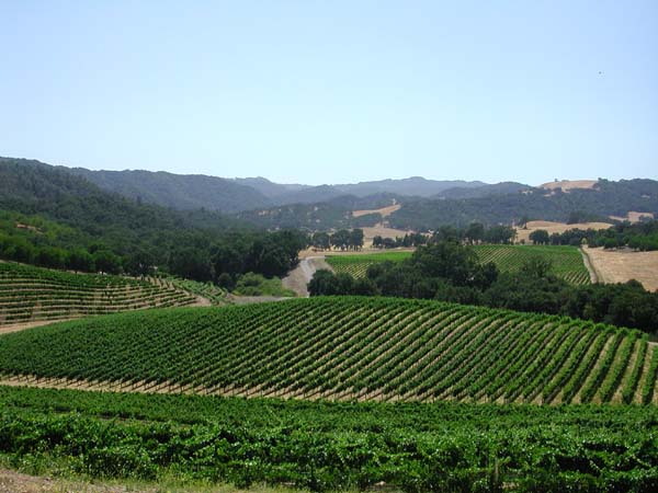 DSCN0794