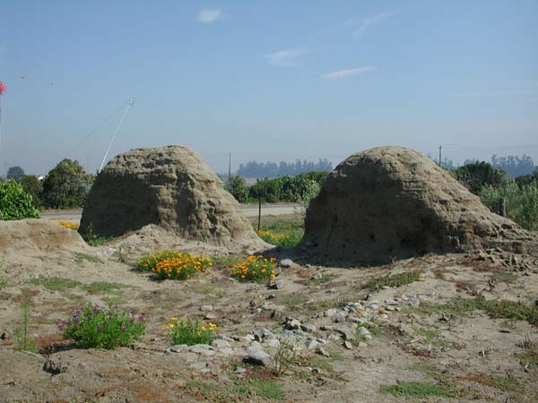 DSCN0821