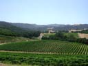 DSCN0794