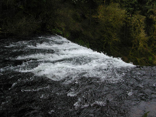 DSCN2623