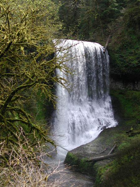 DSCN2640