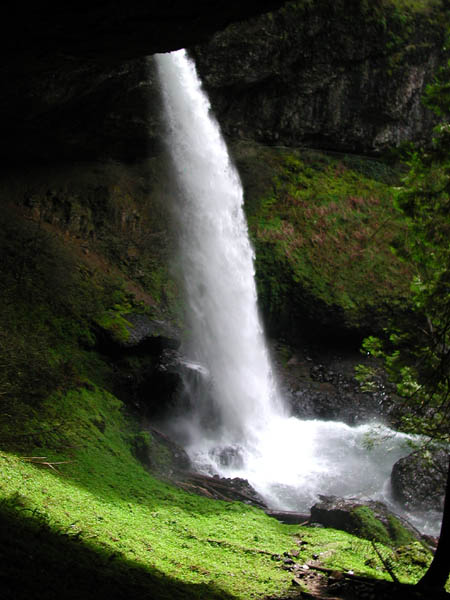 DSCN2647